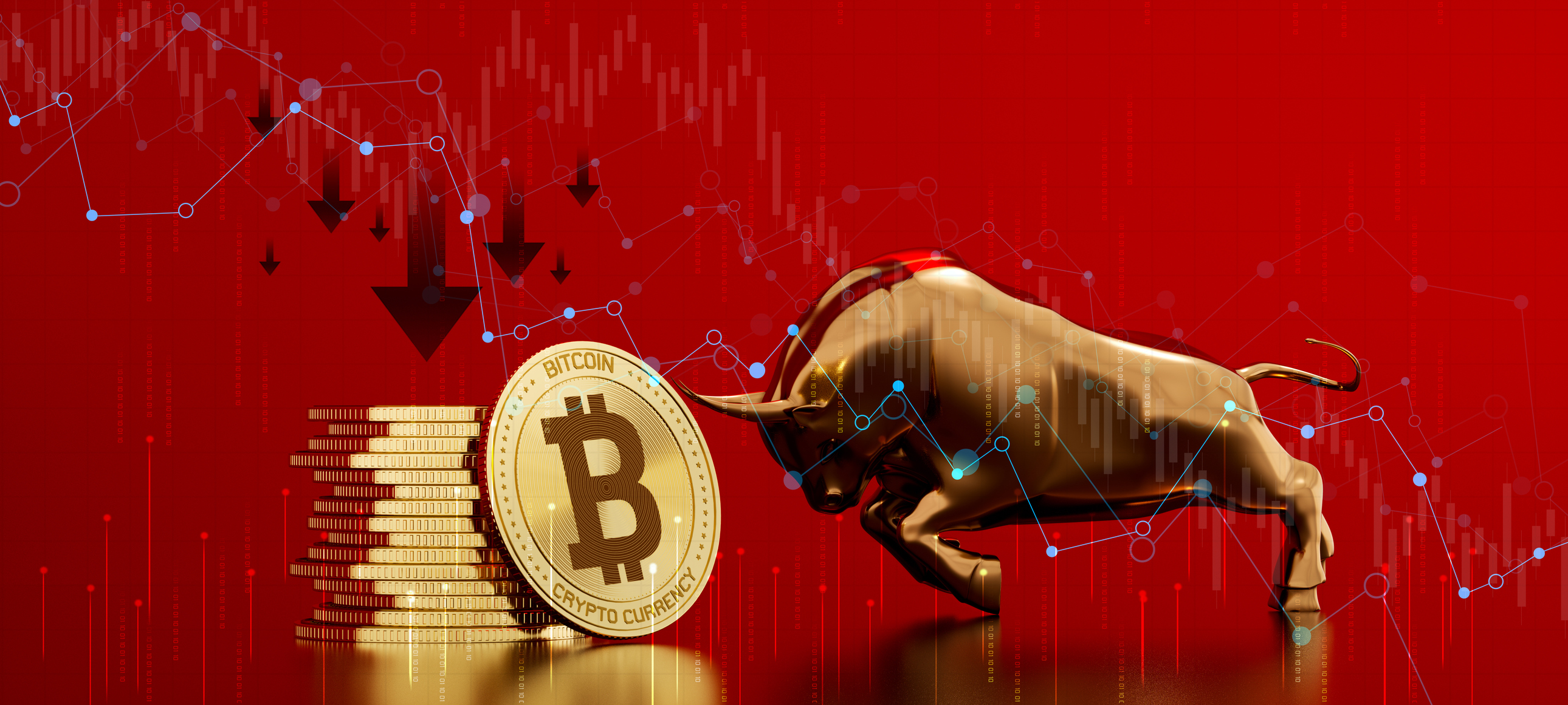 Bull market cryptocurrency and Bitcoin trading